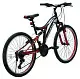 Велосипед Belderia Vision Kings R26 SKD, черный/красный/светло-серый