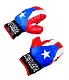 Детский набор для бокса LeanToys Puerto Rico 3716, красный/синий